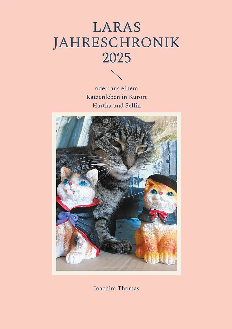 Laras Jahreschronik 2025