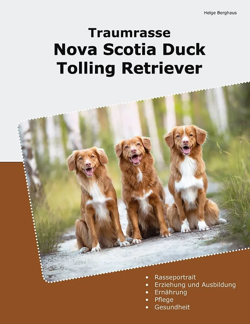 Traumrasse Nova Scotia Duck Tolling Retriever