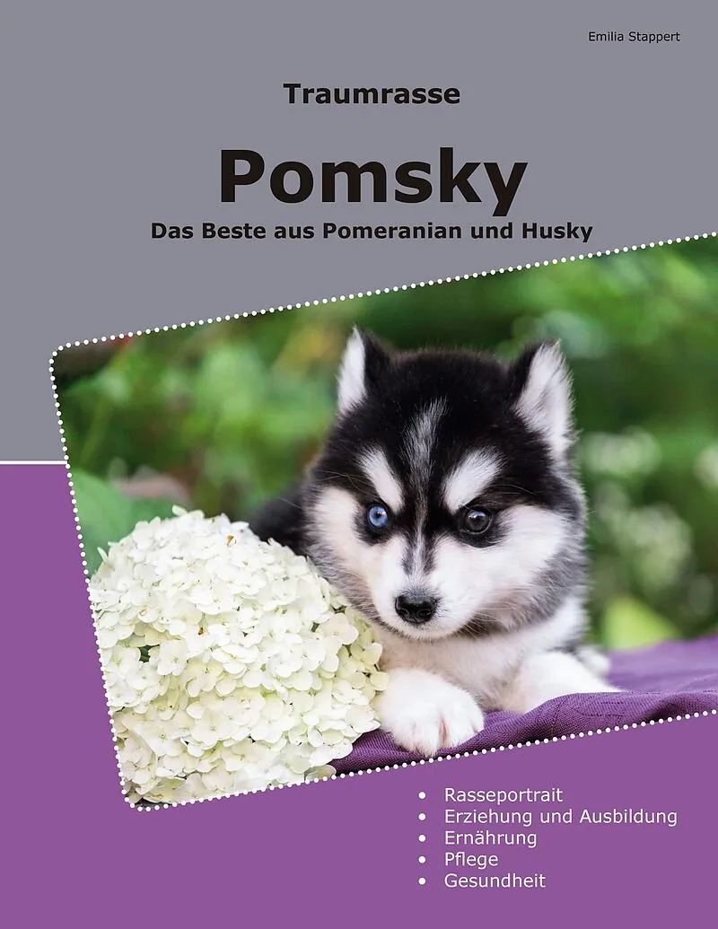 Traumrasse Pomsky