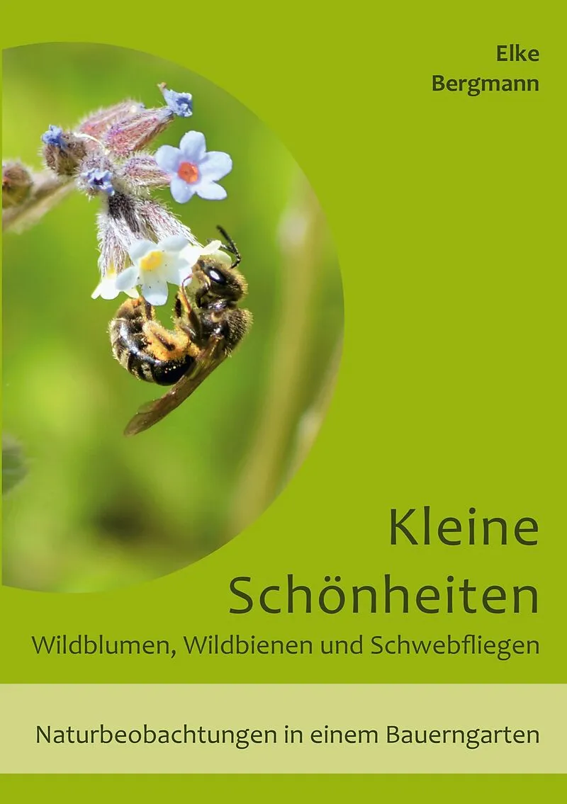 Kleine Schönheiten - Wildblumen, Wildbienen und Schwebfliegen