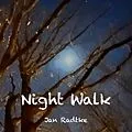E-Book (epub) Night Walk von Jan Radtke