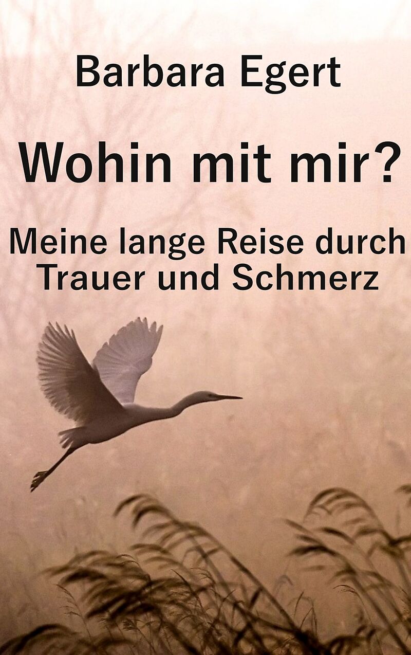 Wohin mit mir? Meine lange Reise durch Trauer und Schmerz