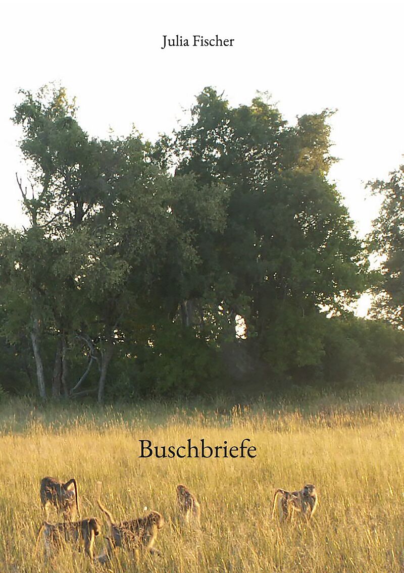 Buschbriefe