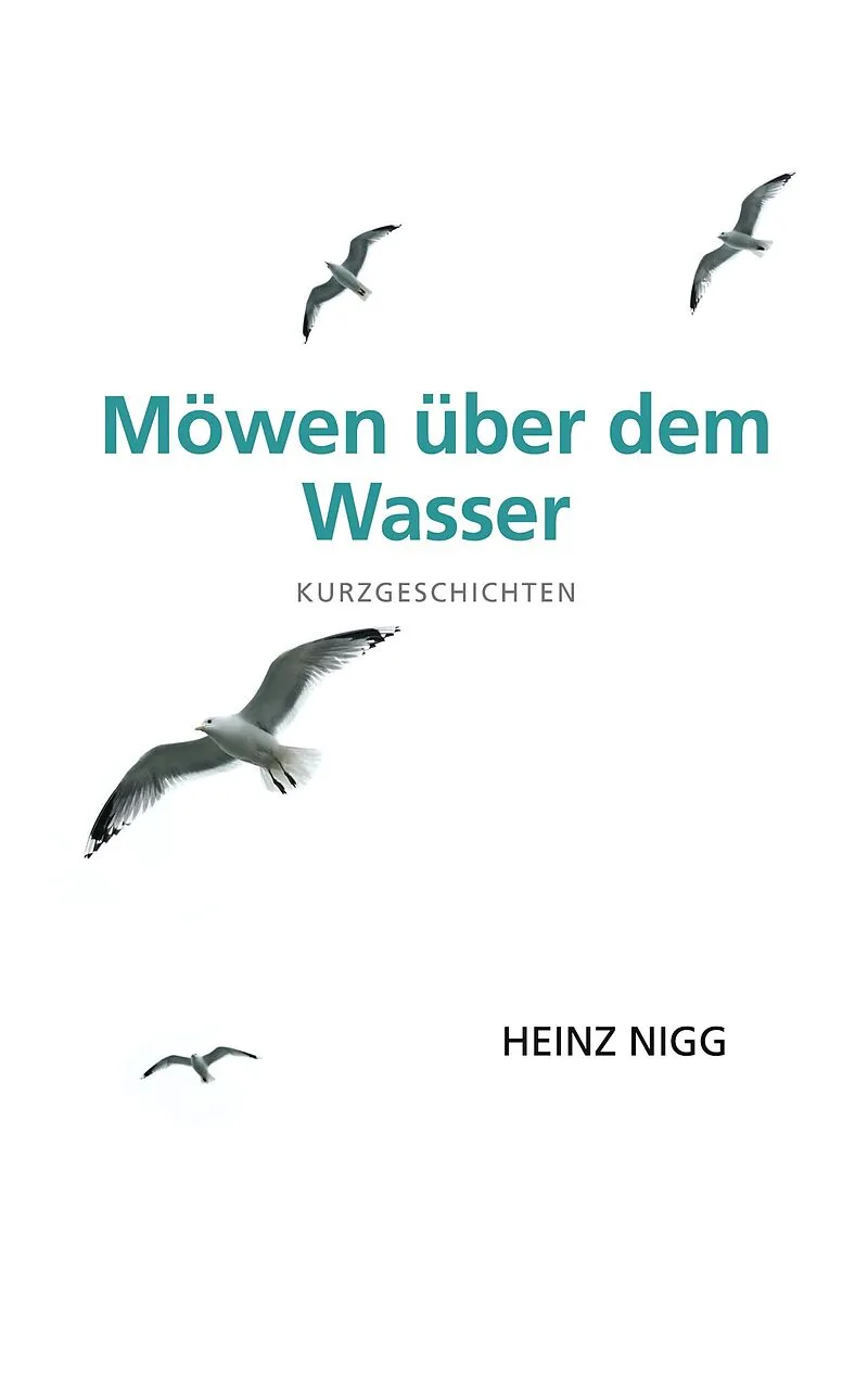 Möwen über dem Wasser