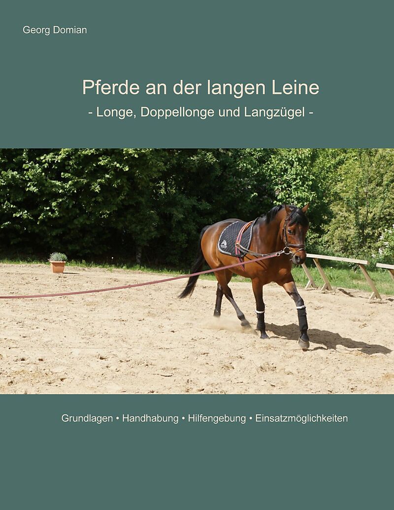 Pferde an der langen Leine