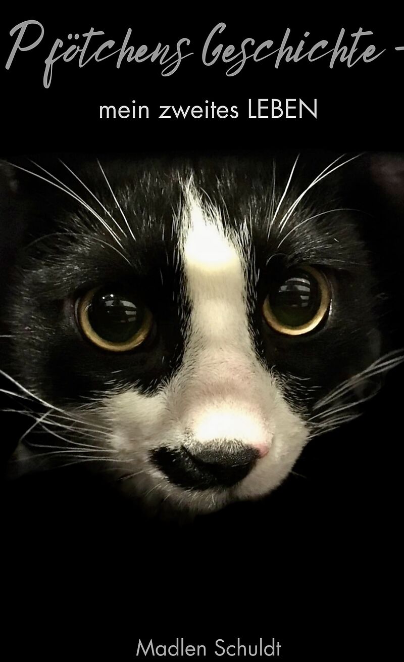 Pfötchens Geschichte