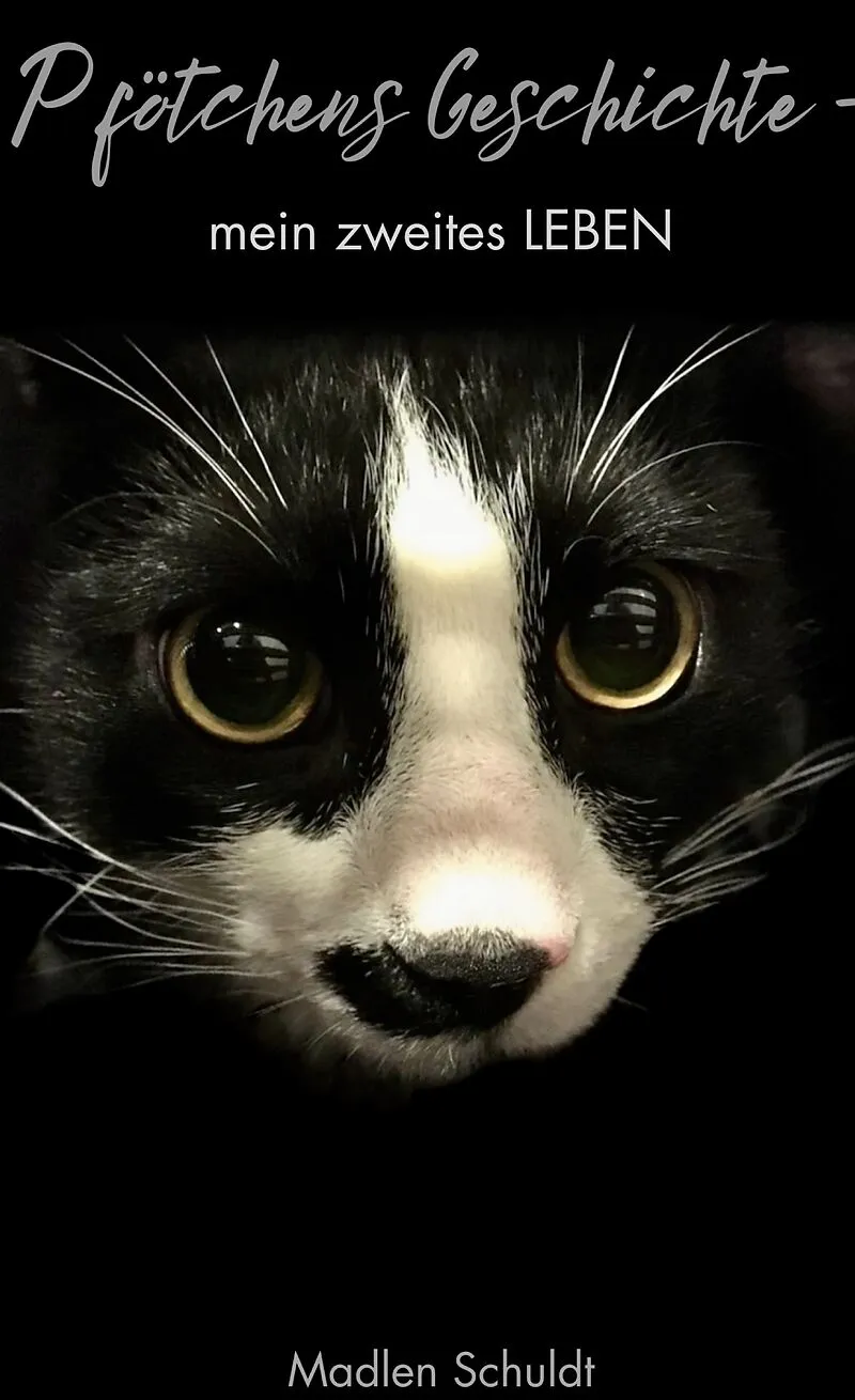 Pfötchens Geschichte