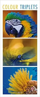 Kalender Colour Triplets 2027 von 