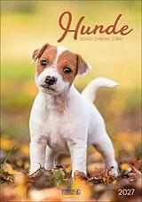 Kalender Hunde 2027 von 