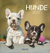 Spiralbindung Hunde 2027 von 