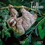 Kalender Faultier 2027 von