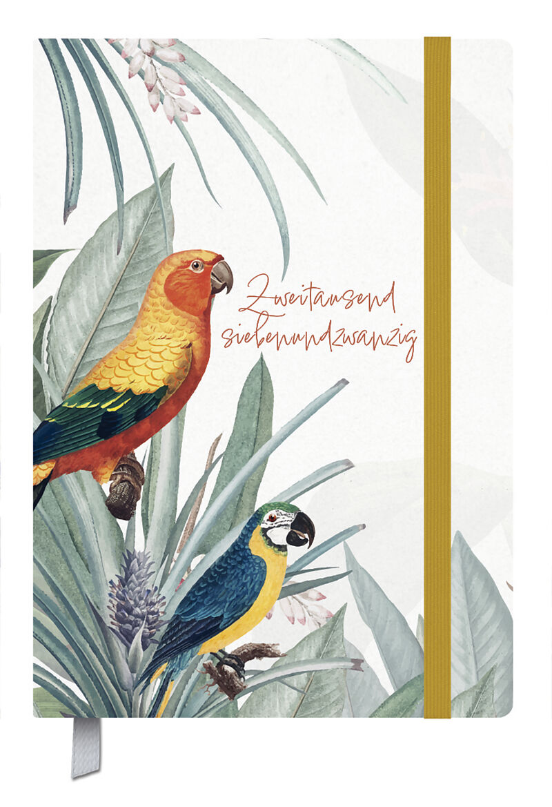 Terminkalender Campus Papagei 18 Monate 2027/2028