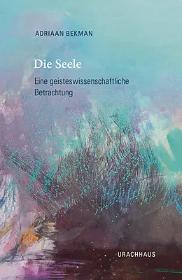E-Book (epub) Die Seele von Adriaan Bekman