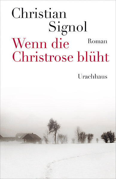 Wenn die Christrose blüht