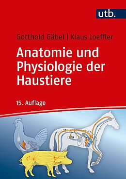 Kartonierter Einband Anatomie und Physiologie der Haustiere von Gotthold Gäbel, Klaus Loeffler, Helga Pfannkuche