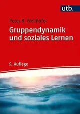 Kartonierter Einband (Kt) Gruppendynamik und soziales Lernen von Peter R. Wellhöfer