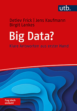 Kartonierter Einband Big Data? Frag doch einfach! von Detlev Frick, Jens Kaufmann, Birgit Lankes