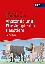 Kartonierter Einband Anatomie und Physiologie der Haustiere von Gotthold Gäbel, Helga Pfannkuche