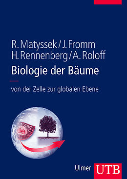 Kartonierter Einband Biologie der Bäume von Rainer Matyssek, Jörg Fromm, Heinz Rennenberg
