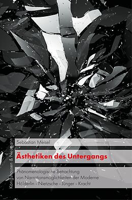 E-Book (pdf) Ästhetiken des Untergangs von Sebastian Meisel