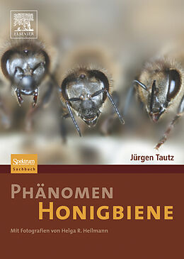 Fester Einband Phänomen Honigbiene von Jürgen Tautz, Helga R. Heilmann
