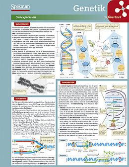 Poster (Non) Lerntafel: Genetik im Überblick von Birgit Jarosch