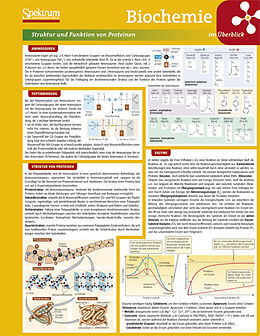 Poster (Non) Lerntafel: Biochemie im Überblick von Birgit Jarosch