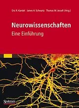 Kartonierter Einband Neurowissenschaften von Eric Kandel, James Schwartz, Thomas Jessell