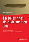 E-Book (pdf) Die Belemniten des süddeutschen Jura von Rudolf Schlegelmilch