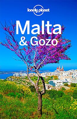 Kartonierter Einband Lonely Planet Reiseführer Malta &amp; Gozo von Brett Atkinson
