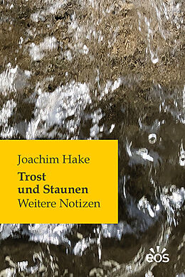 Fester Einband Trost und Staunen von Joachim Hake