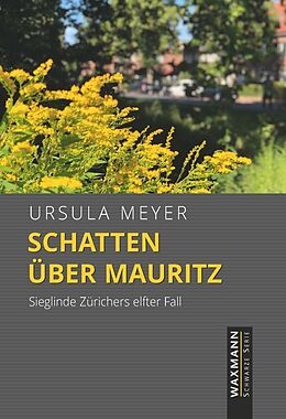 Kartonierter Einband Schatten über Mauritz von Ursula Meyer