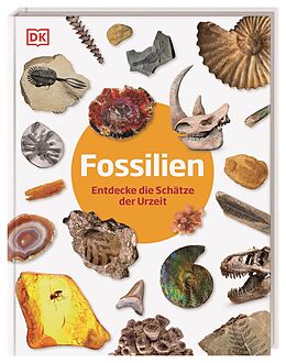 Fester Einband Fossilien von Dean Lomax