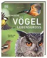 Fester Einband Heimische Vögel lebensgroß von Nancy J. Hajeski