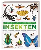 Fester Einband Unsere Welt in 1000 Bildern. Insekten von Ben Ffrancon Dowds, Andrea Mills, Lizzie Munsey