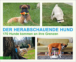 Kartonierter Einband Der herabschauende Hund von 