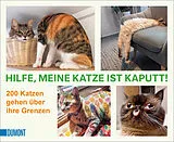Kartonierter Einband Hilfe, meine Katze ist kaputt von 