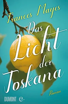 E-Book (epub) Das Licht der Toskana von Frances Mayes