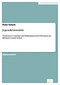 E-Book (pdf) Jugendkriminalität von Peter Scherk