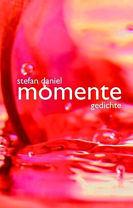 Fester Einband Momente von Stefan Daniel