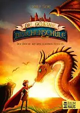 Fester Einband Die geheime Drachenschule - Der Drache mit den silbernen Hörnern von Emily Skye