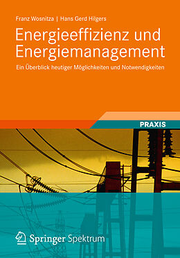Fester Einband Energieeffizienz und Energiemanagement von Franz Wosnitza, Hans Gerd Hilgers