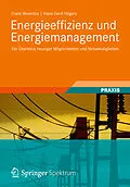 E-Book (pdf) Energieeffizienz und Energiemanagement von Franz Wosnitza, Hans Gerd Hilgers