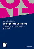 E-Book (pdf) Strategisches Controlling von Liane Buchholz