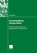 E-Book (pdf) Sozialräumliche Soziale Arbeit von Kay Biesel