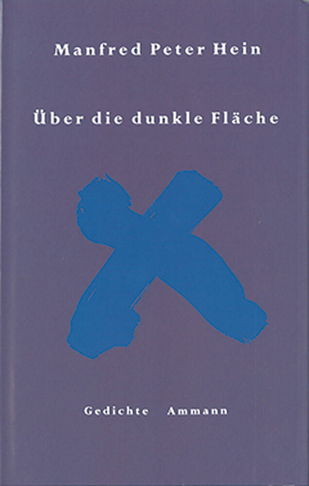 Über die dunkle Fläche
