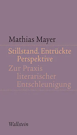 E-Book (pdf) Stillstand. Entrückte Perspektive von Mathias Mayer
