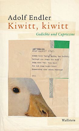 E-Book (epub) Kiwitt, kiwitt von Adolf Endler