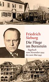 E-Book (epub) Die Fliege im Bernstein von Friedrich Sieburg