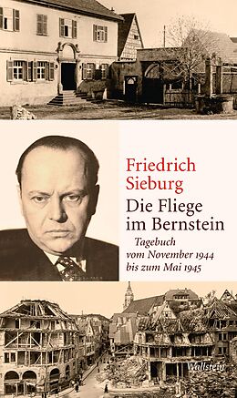 E-Book (epub) Die Fliege im Bernstein von Friedrich Sieburg